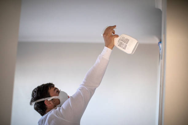 Best Office Mold Removal Services  in Monticello, IL
