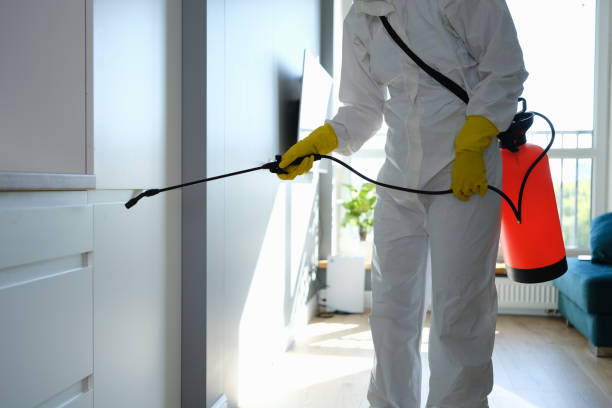 Best Home Mold Removal  in Monticello, IL