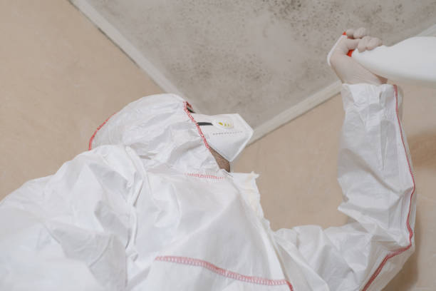 Best Mold Cleaning Services  in Monticello, IL
