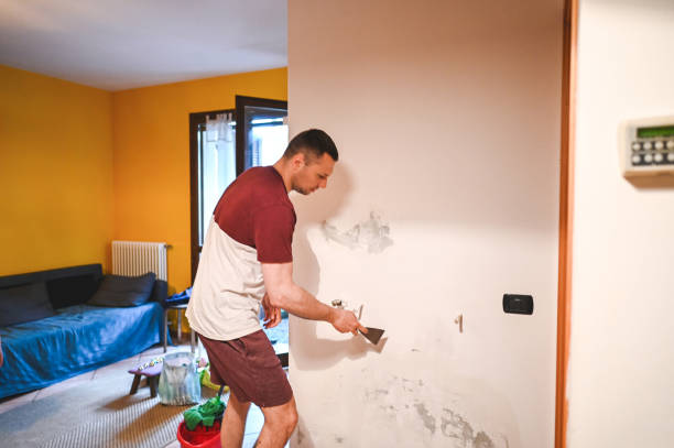 Best Fast Mold Removal  in Monticello, IL